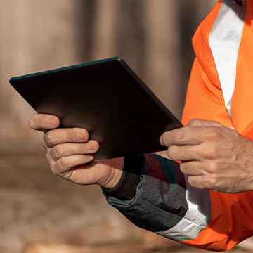Tree Reports, Tree Inspections And Tree Surveys In Surrey